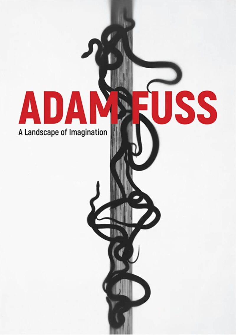Adam Fuss - A Landscape of Imagination