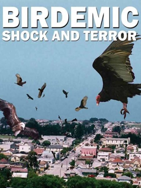 Birdemic: Shock & Terror